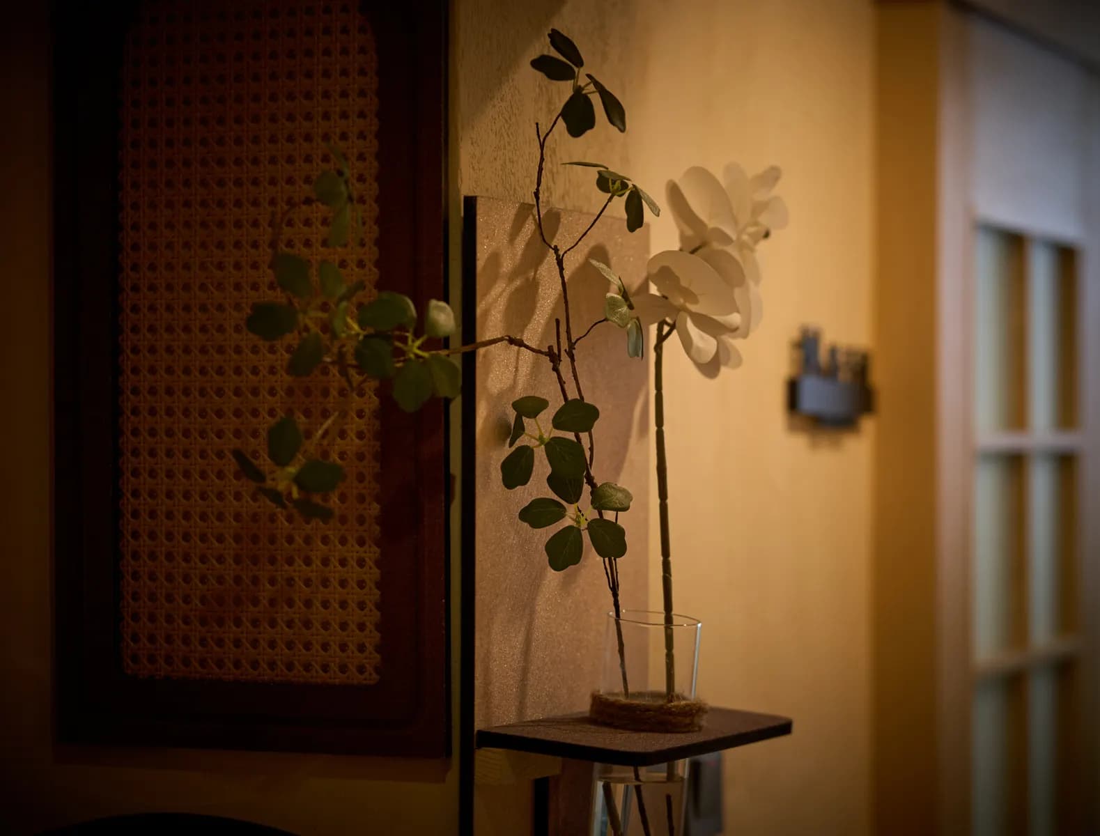 癒見頭療SPA店內走廊與植物裝飾